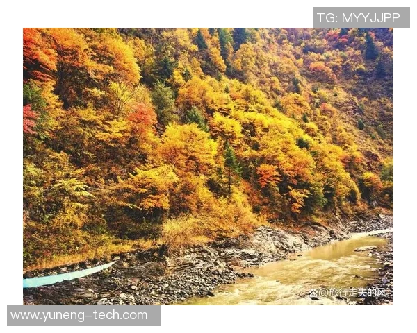 浔阳区姚明珠的美丽风景与人文魅力探秘之旅