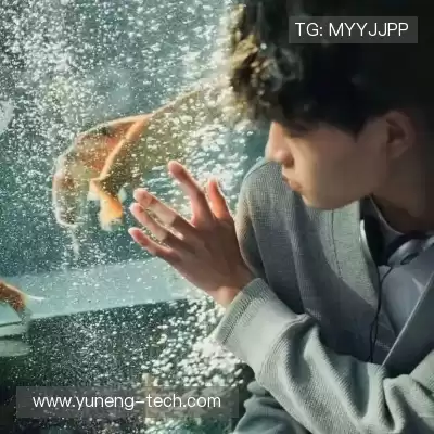 萧琼嘉